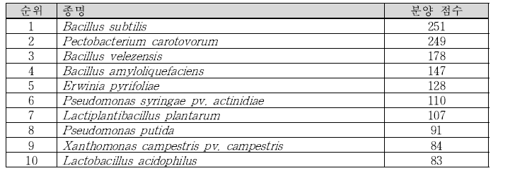 세균 종별 분양 순위