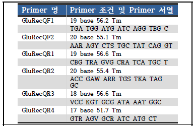 recQ 영역 증폭을 위해 제작한 Primer 서열