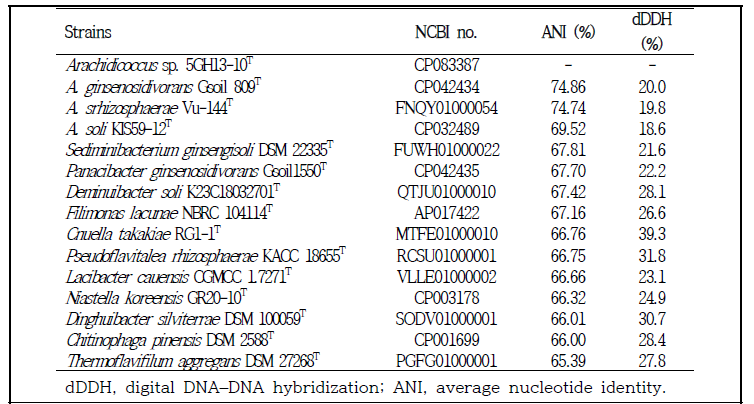 Arachdicoccus sp. 5GH13-10T 및 표준균주 상동성 비교