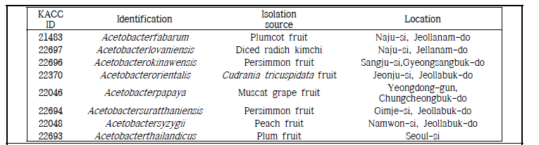 국내 미기록종 Acetobacter