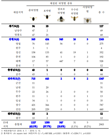 2019년 - 2022년간 채집 관찰된 뒤영벌 여왕벌수