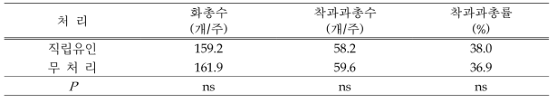 ‘신화’ 5년생 Y자형 유목의 주지 선단 처리에 따른 착과과총률 및 수확과율(2018년)