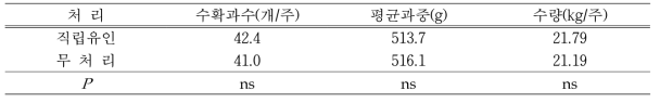 ‘신화’ 5년생 Y자형 유목의 주지 선단 처리에 따른 수확과수, 평균과중 및 수량(2018년)