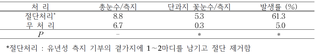 ‘신화’ 유년성 발생 측지의 단과지 절단에 의한 꽃눈착생 정도(2018년)