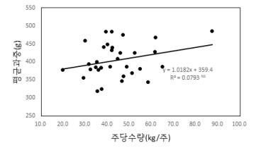 ‘신화’의 주당수량과와 평균과중과의 상관관계(2019년)