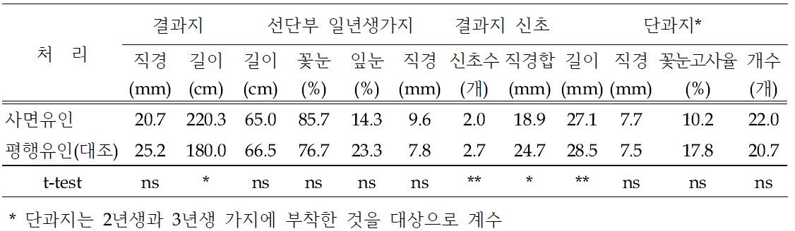 ‘신화’의 결과지 연장지 관리방법에 따른 결과지 생육(2021년)