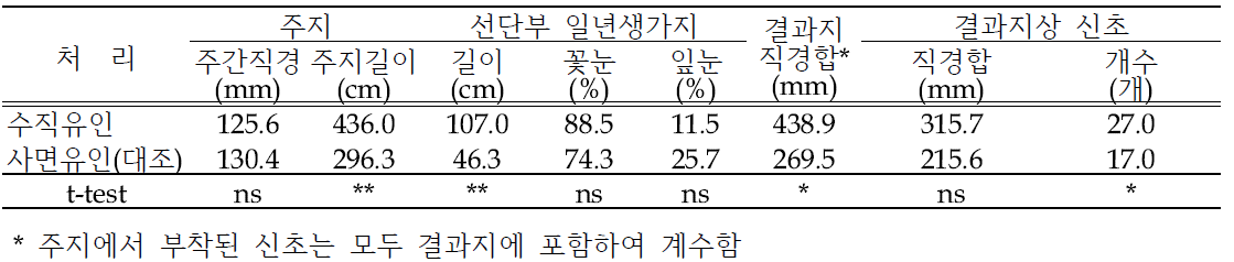 ‘신화’의 주지 연장지 관리방법에 따른 생육특성(2021년)