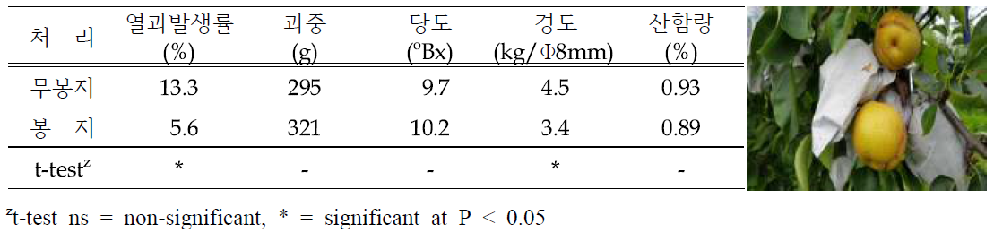 배 봉지 유무에 따른 ‘신화’의 열과 발생 및 과실특성
