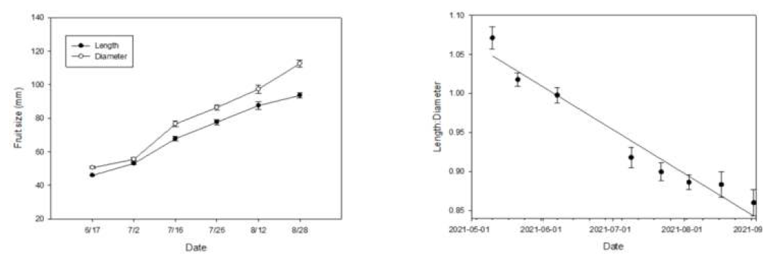 생육기 ‘신화’ 과실 크기(좌) 및 과형지수 (우) 변화 Data shown represent means ± SD