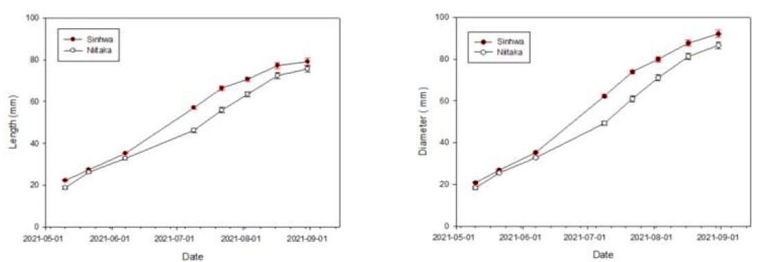 생육기 ‘신화’ ,‘신고’의 과실비대량 (좌) 종경, (우) 횡경 Data shown represent means ± SD
