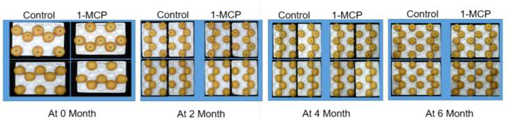 1-MCP 처리 후 저장기한에 따른 ‘신화’ 과피색상 변화