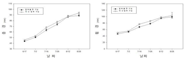 정상과 및 발육불량과 생육시기별 과실 크기 변화 (좌)종경, (우) 횡경