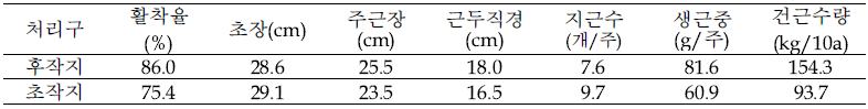 인삼 후작지 식재 도라지의 생육 및 수량(1년생, 2018)