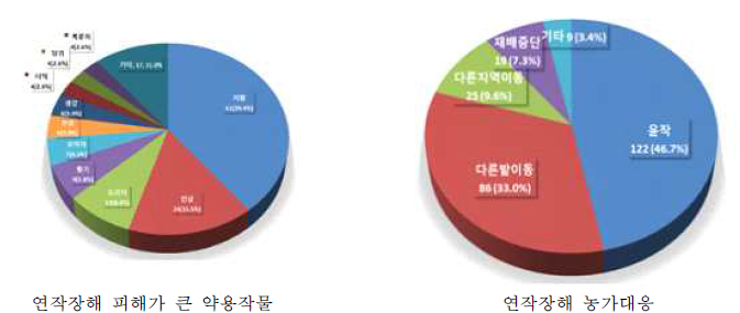 연작피해 및 농가대응