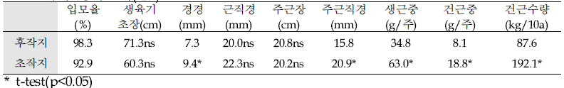 더덕 생육조사(‘19)