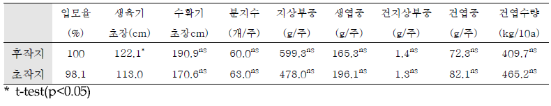 쑥 생육조사(‘19)