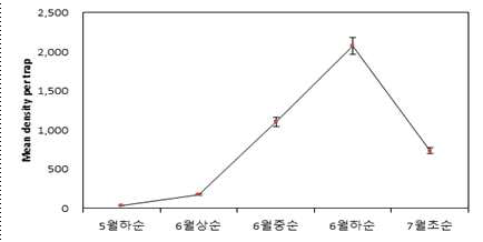 대만총채벌레 발생밀도