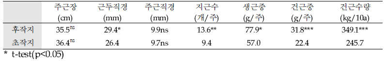 갯기름나물(식방풍) 지하부 생육조사(‘19)