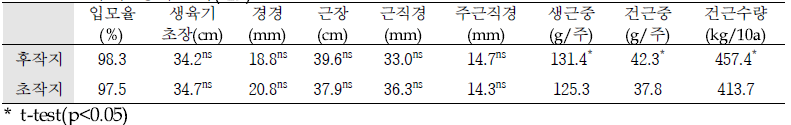 도라지 생육조사(‘19)