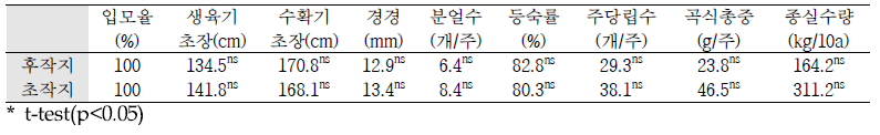 율무 생육조사(‘19)