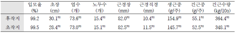 천궁 생육조사(‘19)