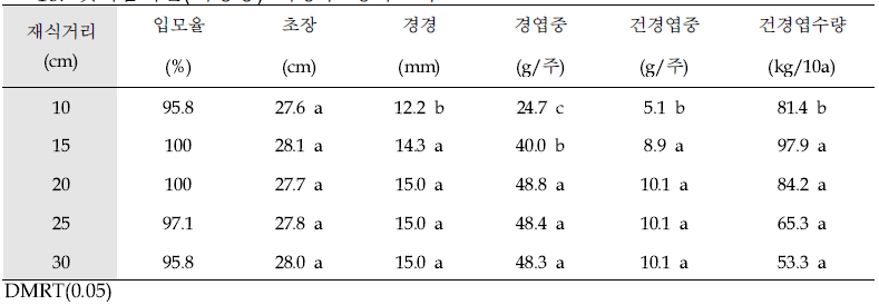 갯기름나물(식방풍) 지상부 생육조사