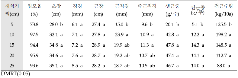 도라지(육묘이식) 생육조사