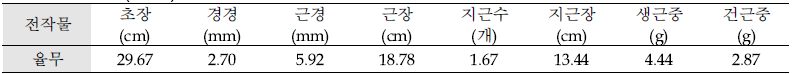 전작물(율무)에 따른 황기 생육조사