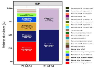 황기 연작지·초작지 토양 내 주요 Fusarium 종
