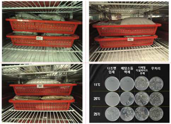 훈증처리 후 온도별 밀봉 후 균 밀도 검정
