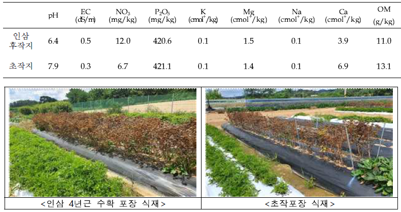 인삼 수확 후 후작물 재배지 및 초작지 토양 이화학성 조사(’19, 충북 금산)