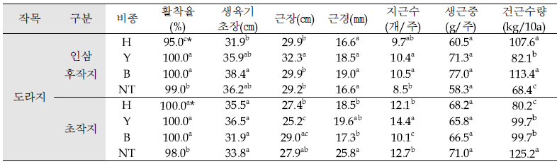 인삼 후작지 및 초작지에 식재한 ‘도라지’ 생육 및 수량(’19, 충북 금산)