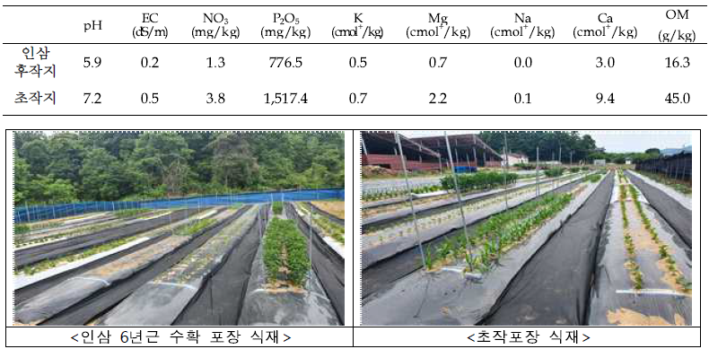 인삼 수확 후 후작물 재배지 및 초작지 토양 이화학성 조사(’20, 충북 음성)