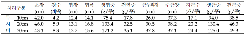 무시비구 수확기 지상부 및 지하부 생육조사(10월 중순 수확)