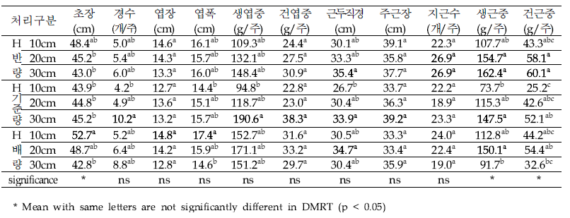 유기물 퇴비 처리별 수확기 지상부 및 지하부 생육조사(10월 중순 수확)