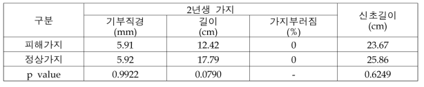 갈색날개매미충 산란 홍로 결과지와 정상 결과지의 특징(2021)