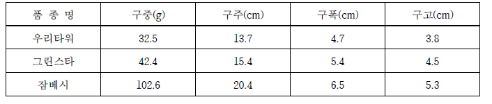 정식 전 구근 특성