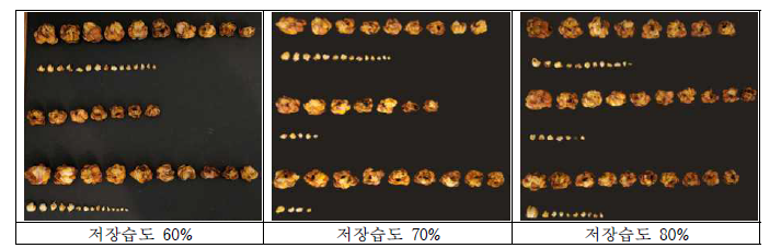 저장 습도 처리에 따른 ’시베리아’의 구근 생육