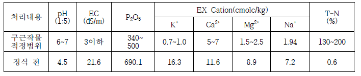 정식 전 토양 이화학성