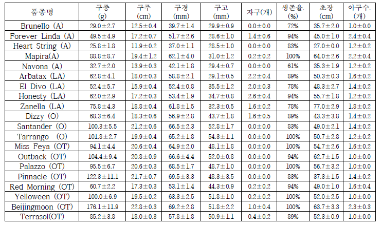 9월 새만금 나리 구근 생육결과