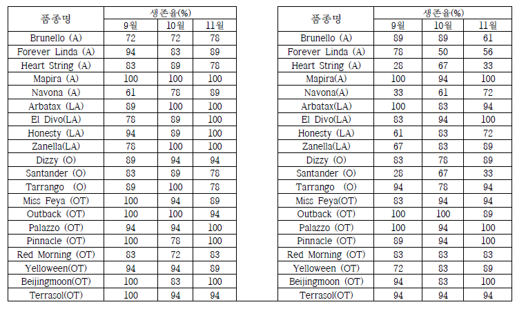 새만금과 원예원 포장의 월별구근 생존률 비교