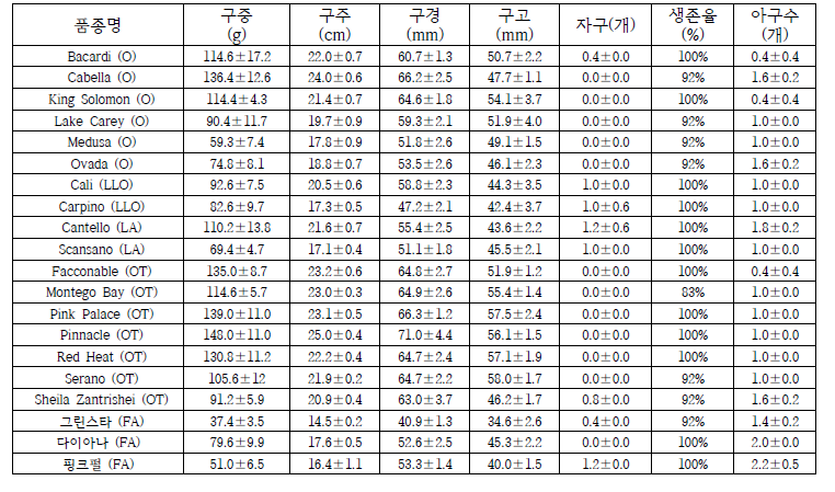 10월 새만금 수확