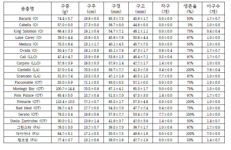 10월 원예원 수확