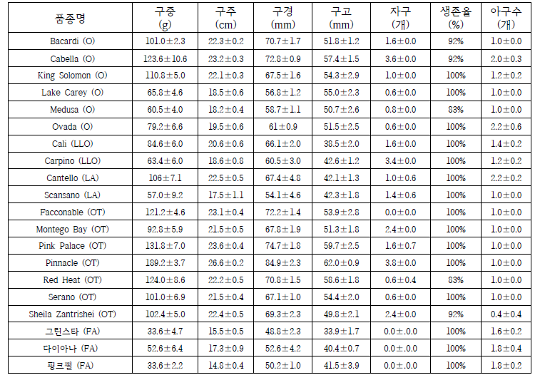 11월 새만금 수확