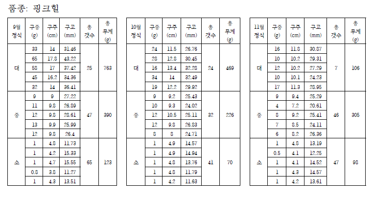 새만금 정식 배양구 핑크힐 조사 결과