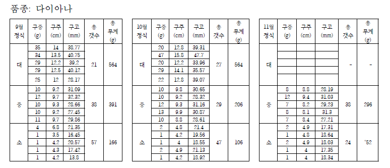 새만금 정식 배양구 다이아나 품종 조사 결과