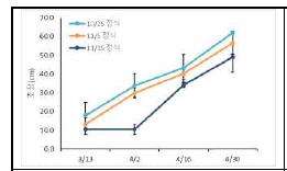 정식 시기에 따른 생육기 초장 변화(2019)
