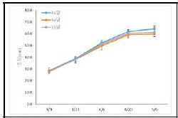 육묘일수에 따른 생육기 초장 변화(2020)