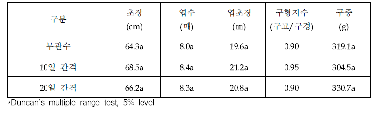 관수 간격에 따른 생육(2022)