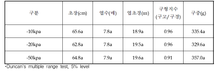 관수 조건에 따른 생육(2022)